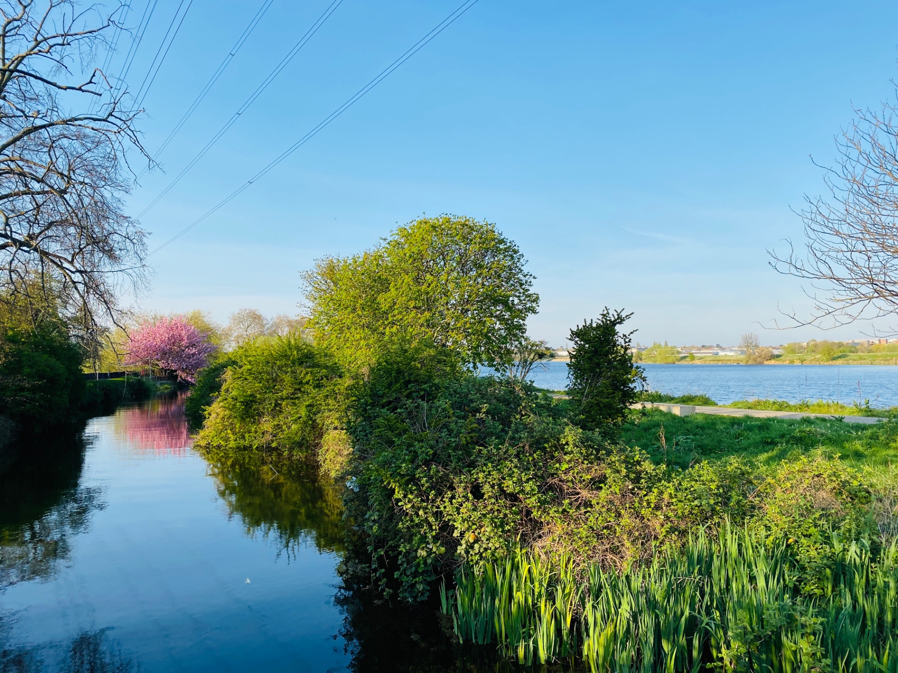 Tottenham waterways surrounded by trees and greenery