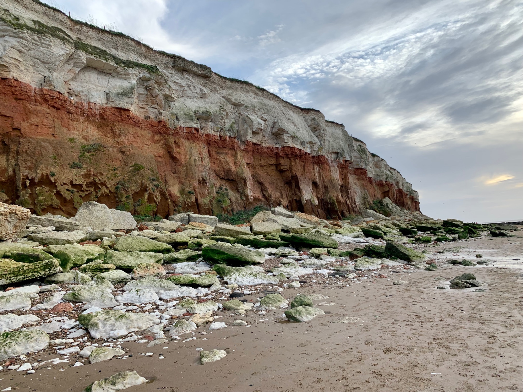 Hunstanton's striped cliffs rising above moss-covered rocks at low tide