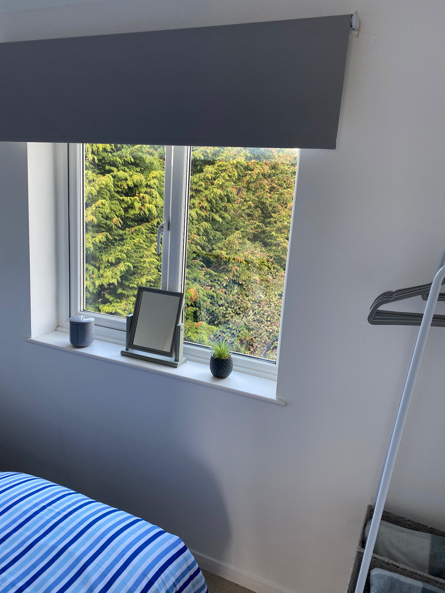 Bedroom window