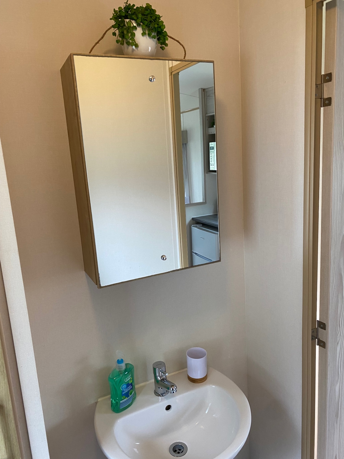 Bathroom sink and mirror